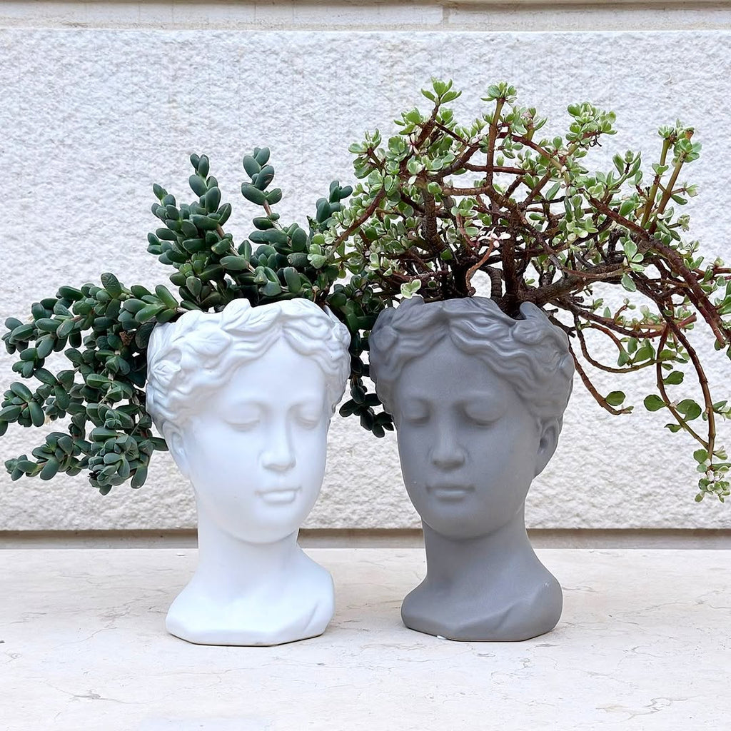 Jade in Classic Sculpture Pot