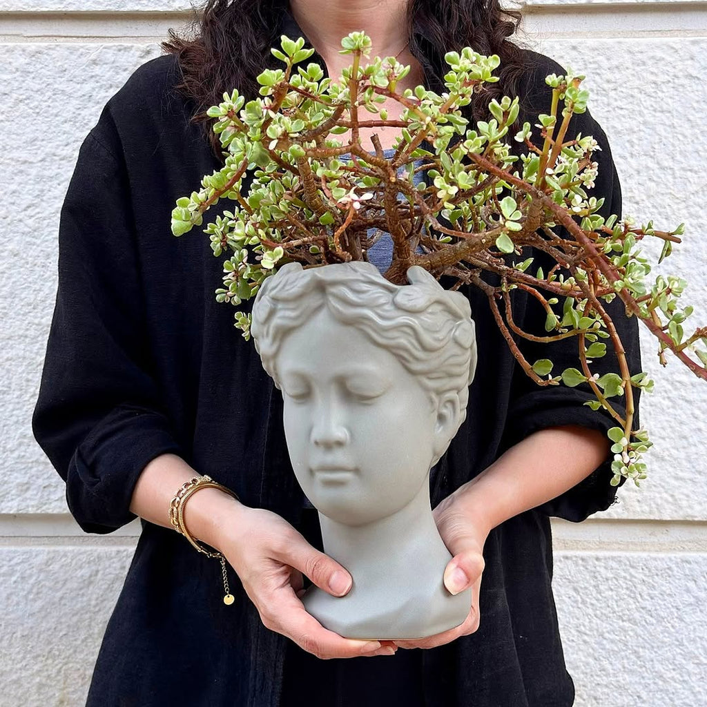 Jade in Classic Sculpture Pot