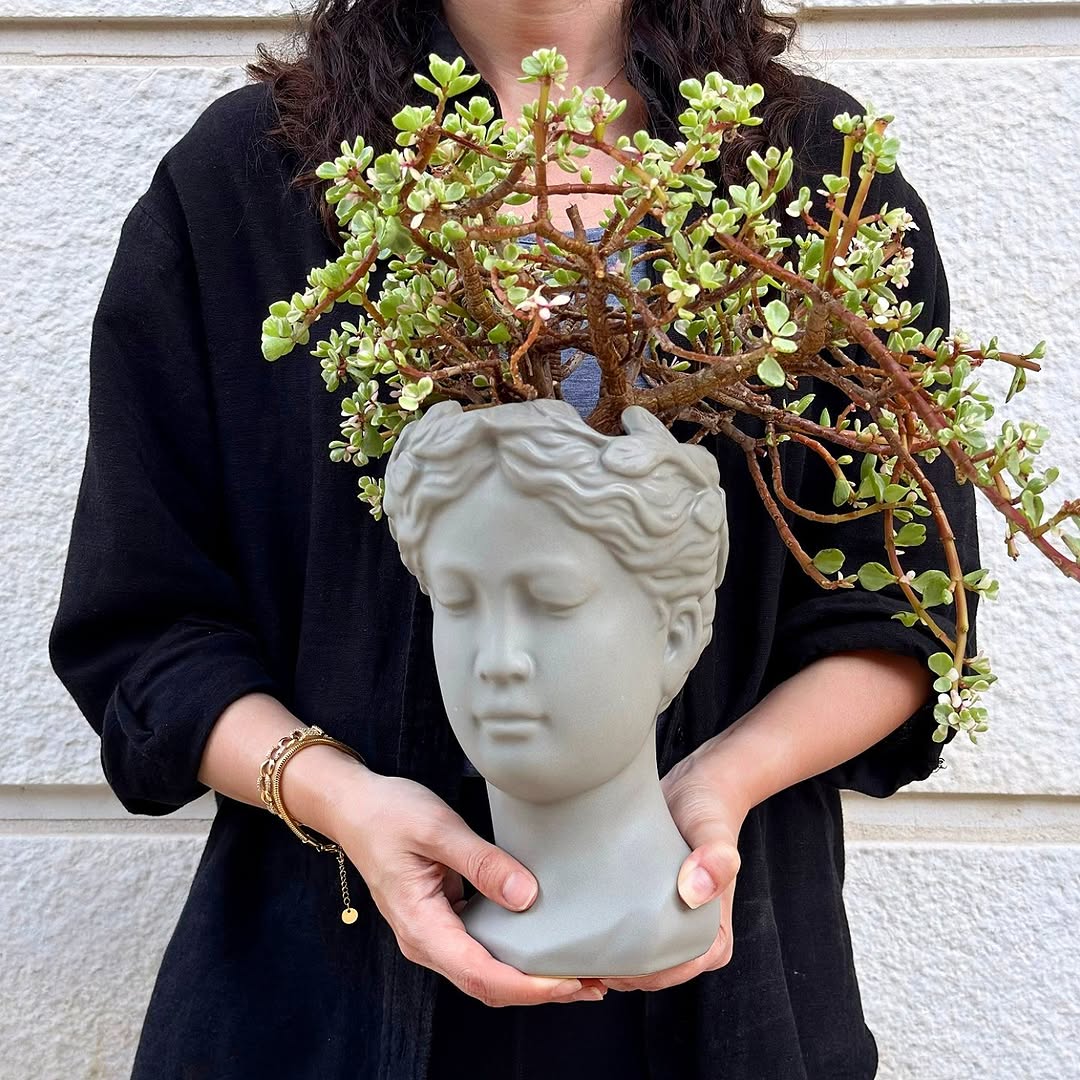 Jade in Classic Sculpture Pot