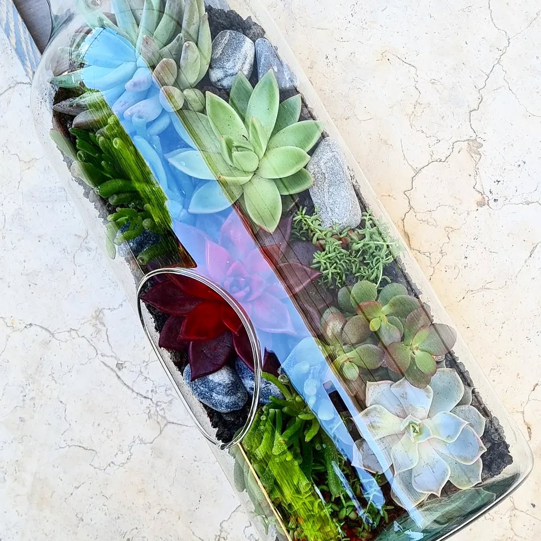Succulents in a Bottle